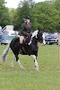 thornton-le-dale-gala showclass7acharity25-5-20165
